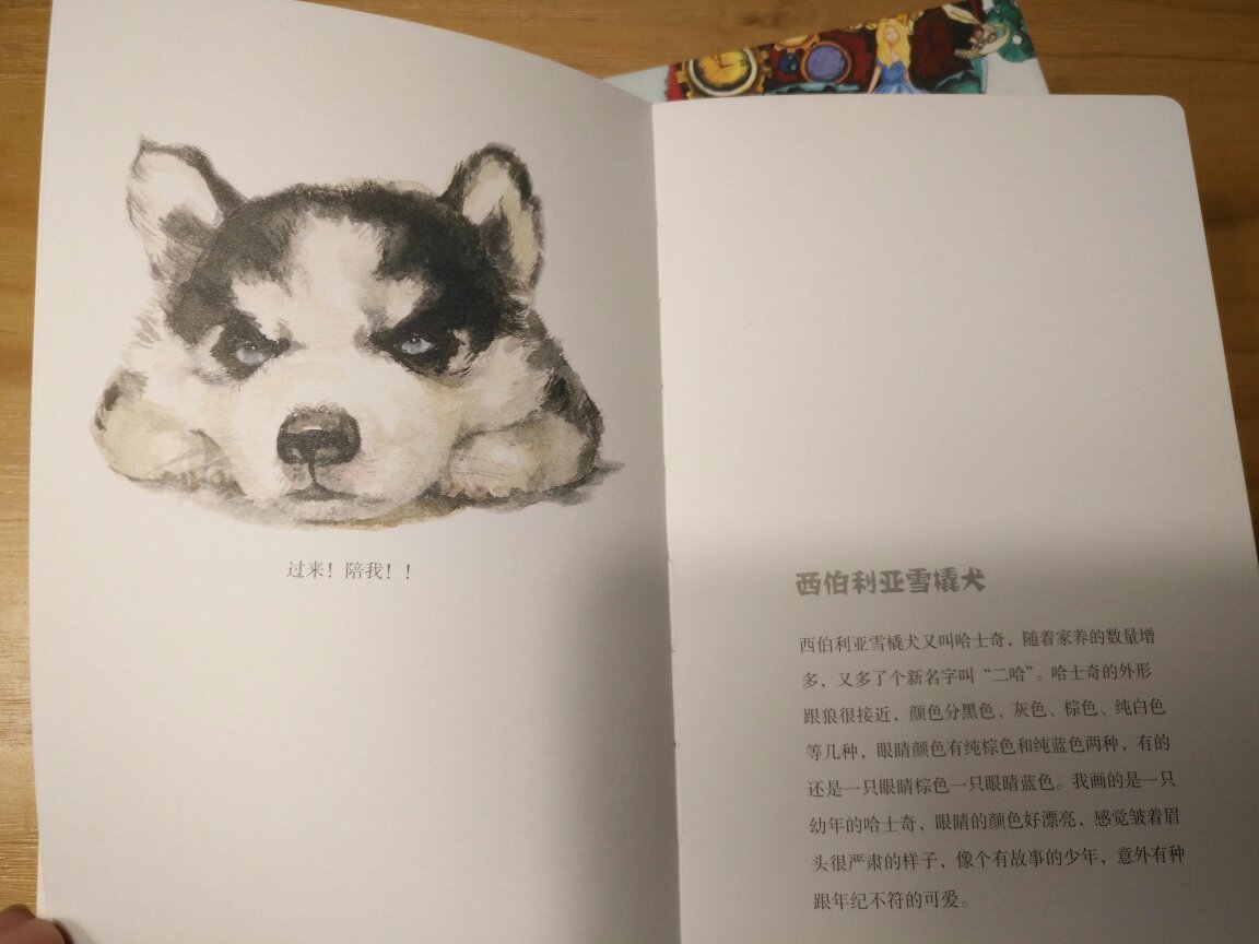 很可爱的本本，除了可爱的狗狗们，其余的都是完全空白的纸张，可以随心所欲的涂鸦啊