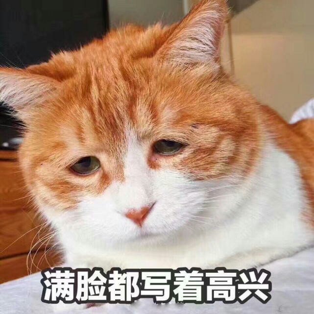 超赞，一不小心自己也可以做一碗好汤