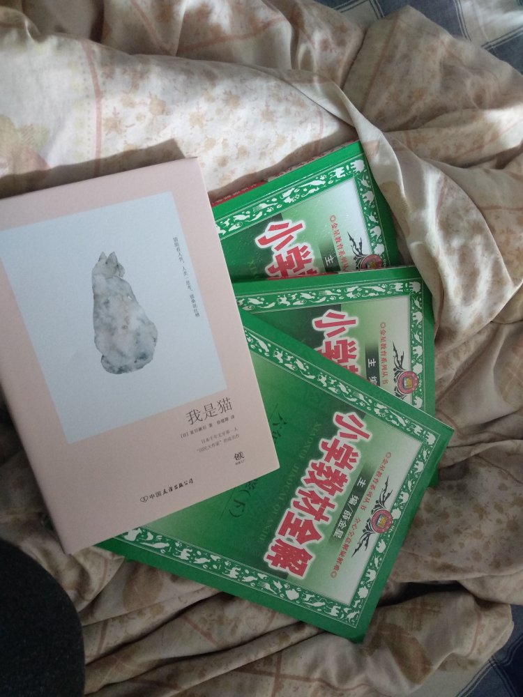 给妹妹买的，快递特别快，昨晚定的今天早晨就到了