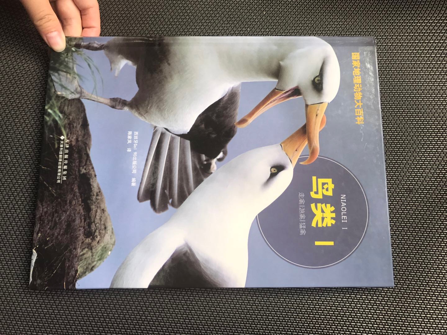 一本不错的鸟类知识科普书，重点是里面的图片真的很鲜艳好看，孩子翻看得不亦乐乎，有好玩的内容还过来跟我说说。