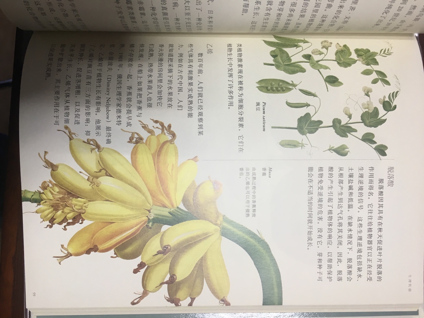 非常好的植物书，感觉自己是半个植物学家了，一种迷之错觉