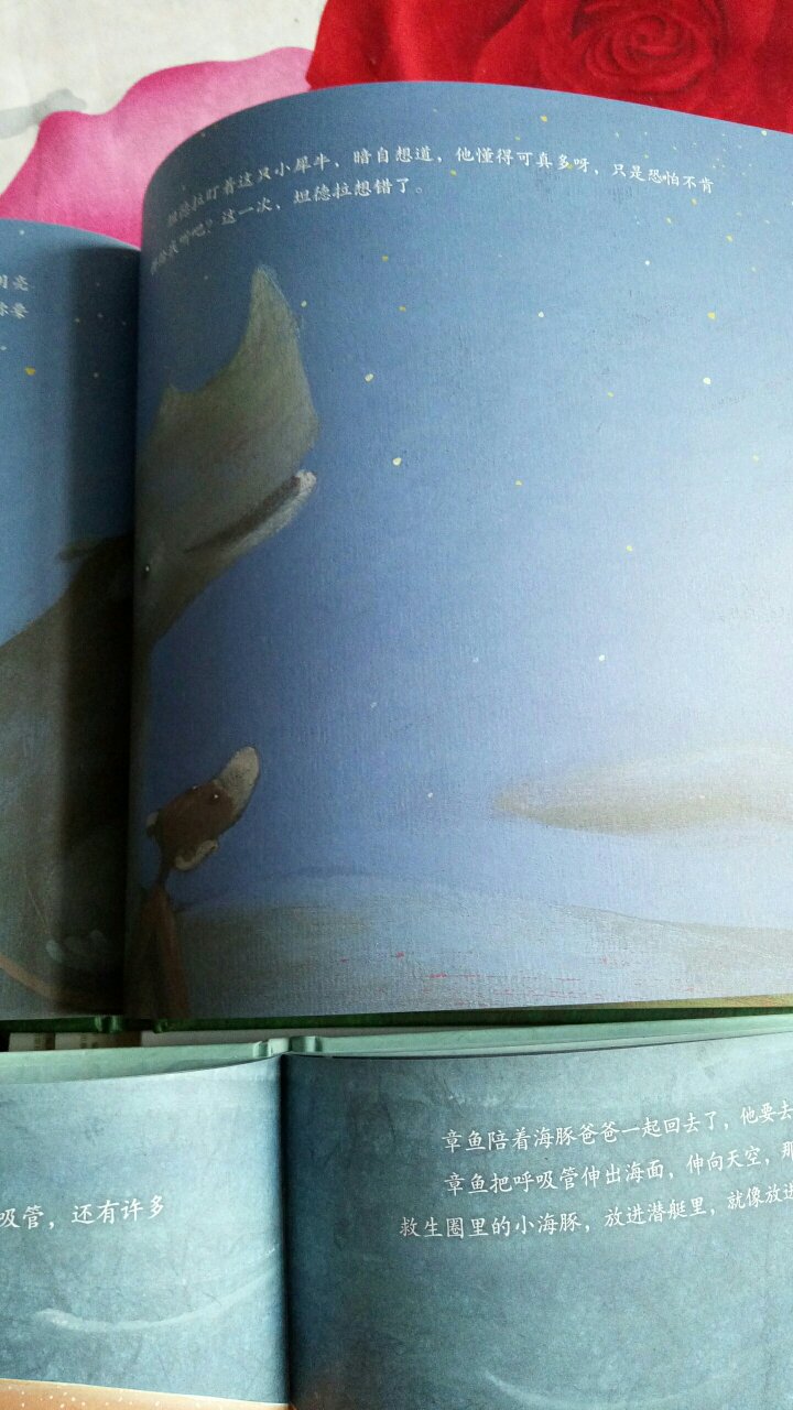是那种厚皮，硬皮的，一共五本，，其中有一本长颈鹿遇上小豹子没有文字，总体插图颜色发暗，每本书的后面都有让孩子自己发挥的空白页