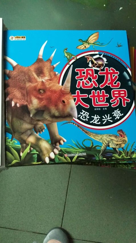 孩子就喜欢恐龙，这个书价格实惠，质量还不错