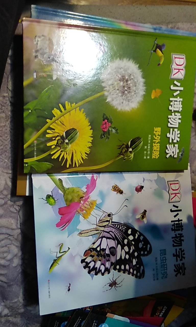 非常喜欢DK百科全书，每年都有新书引进出版，然后就是买买买