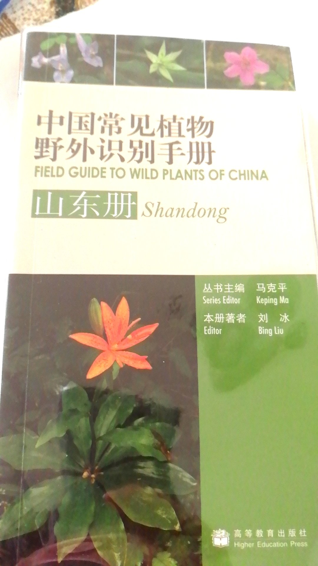 北京常见的野花野花野草都有了，带孩子登山又多了一个乐趣乐趣——人植物