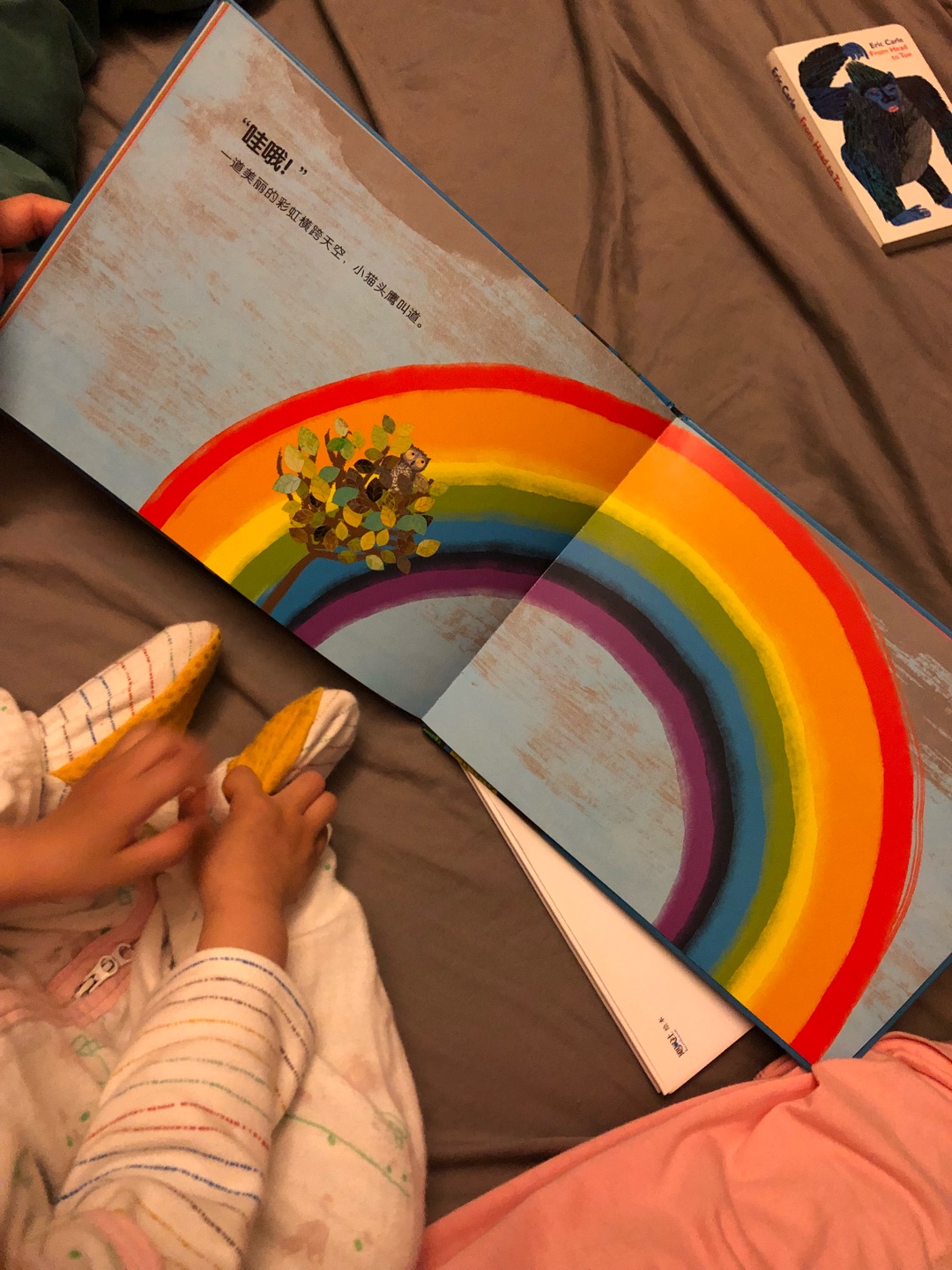 很有趣的一本书，最近宝宝在学颜色认知，很有帮助。