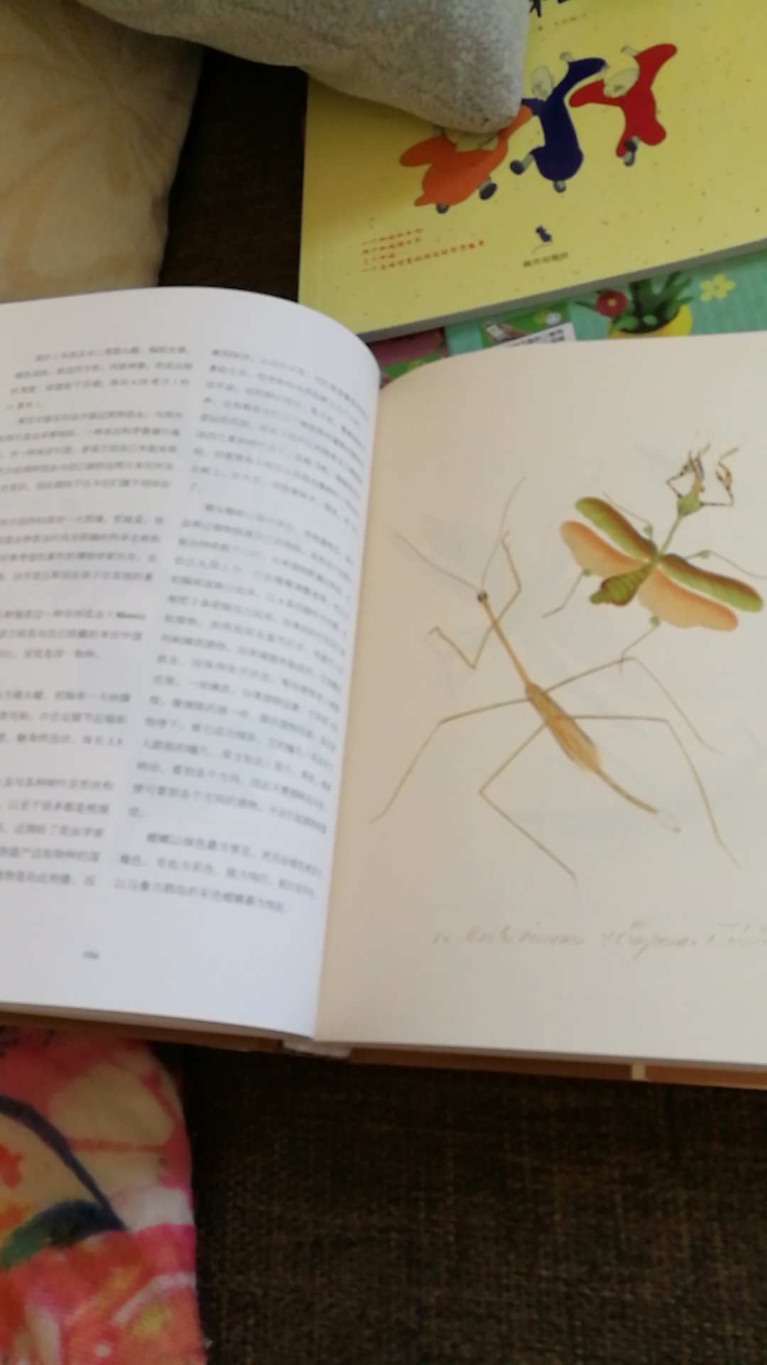 昆虫的书家里有好多，名作大多是外国人写的，其实不实用。