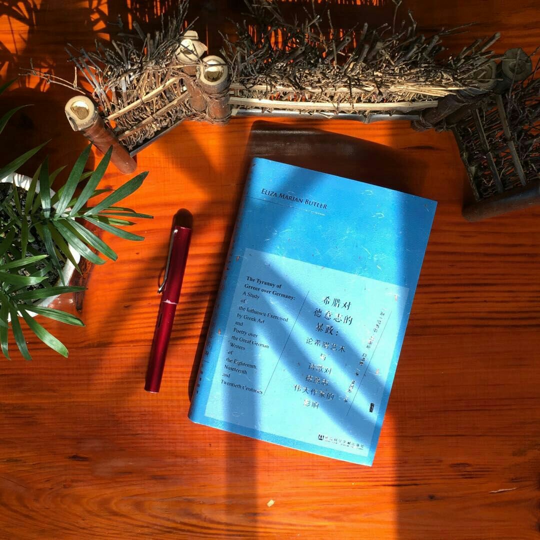 《伊斯坦布尔的一年》是作家夏奈的一本旅行随笔。2015年，作者夏奈搬到伊斯坦布尔生活了一年，并将这一年在土耳其的见闻、感想以日记的形式记录下来。 