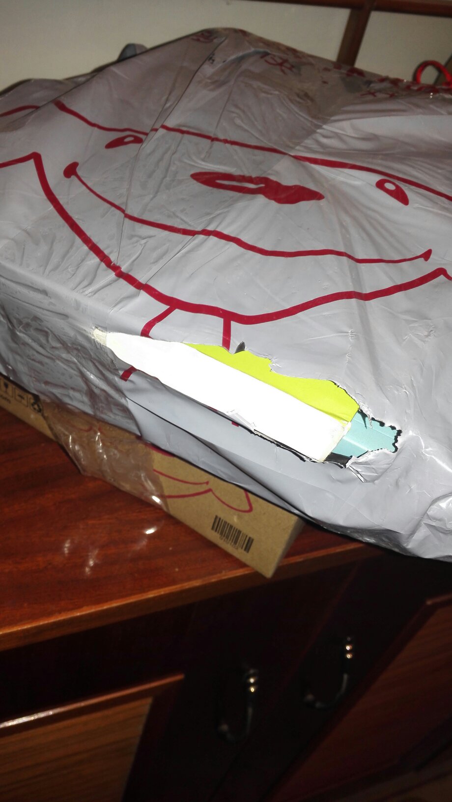 对书籍的包装明显不重视，就一个塑料袋，连个纸箱都没有，送到的时候塑料袋还破了。