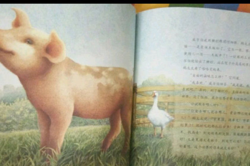 这本书我儿子非常喜欢，里面的小猪威尔伯让作者画的惟妙惟肖，栩栩如生，我儿子总嚷着让我给他买个小猪呢！