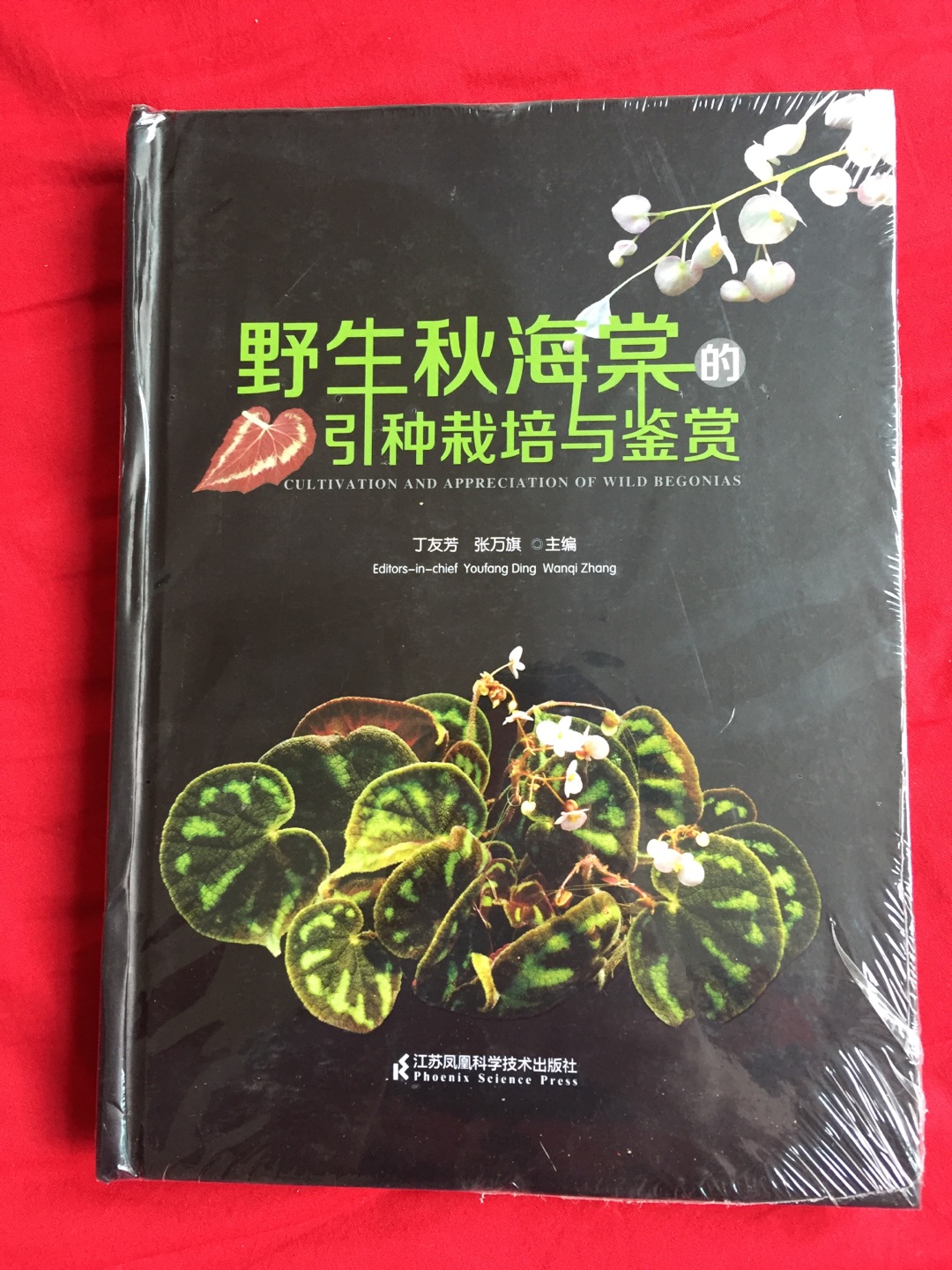 介绍秋海棠属植物的专著，可以好好了解一下。