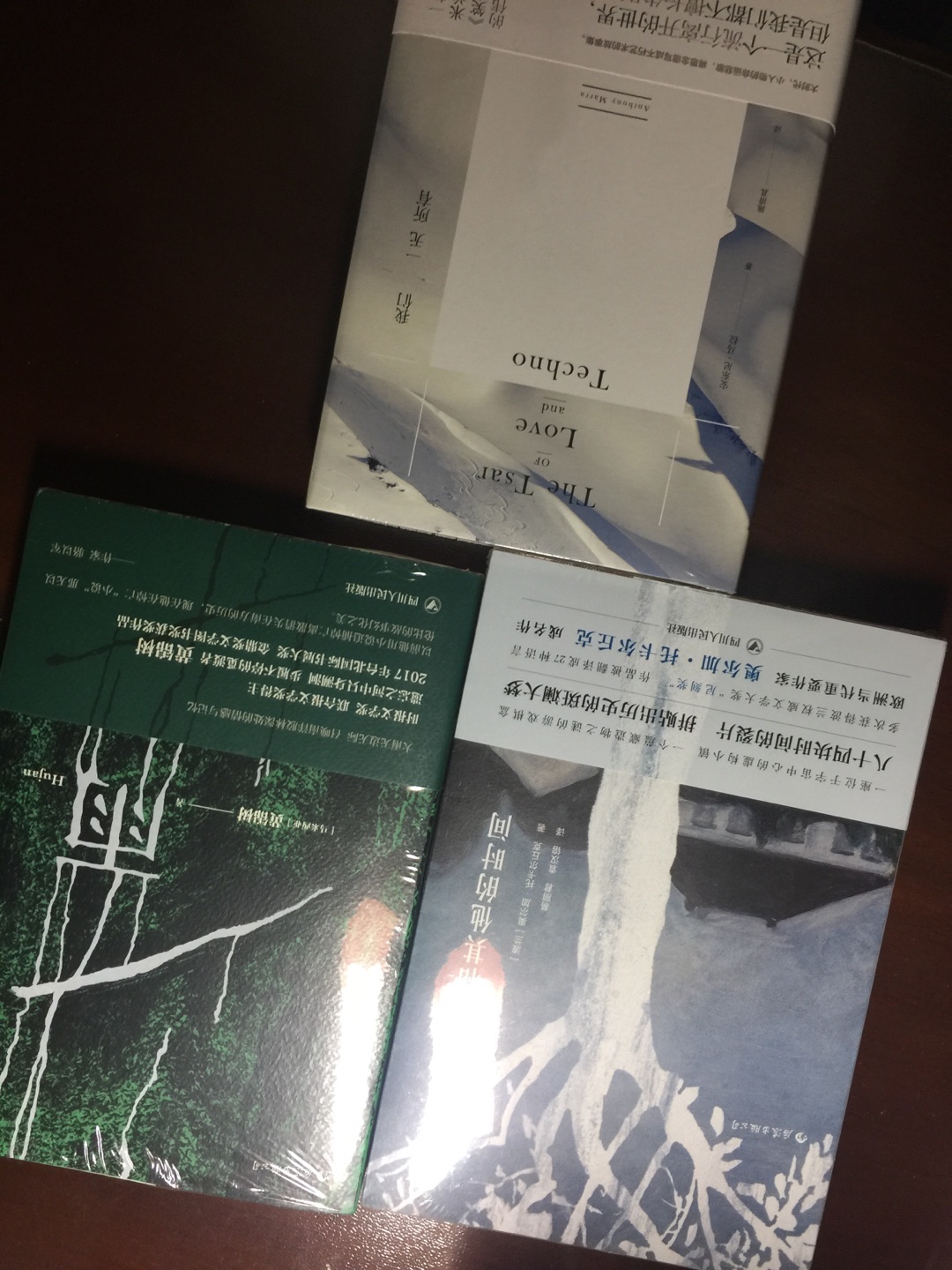 有认识的人说“华语文学”和“中国文学”不是一个含义，这本书恰可以体现这种微妙的差别。中国少有的热带气候，下个不停的雨，奇妙的家族…有种东南亚的气质，又让我回想起拉美