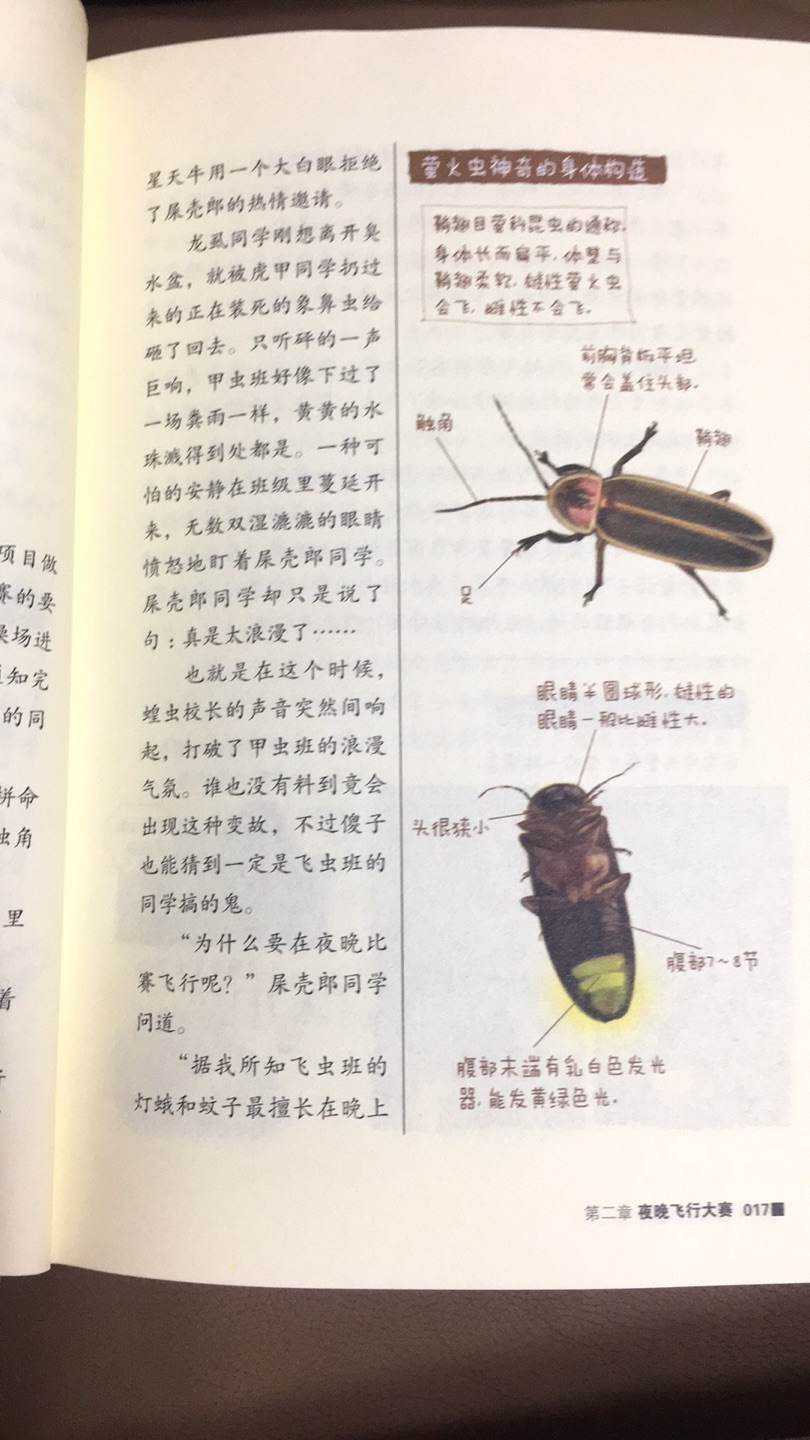 有趣的故事加上丰富的昆虫百科，令人忍俊不禁的同时又增加了很多昆虫知识