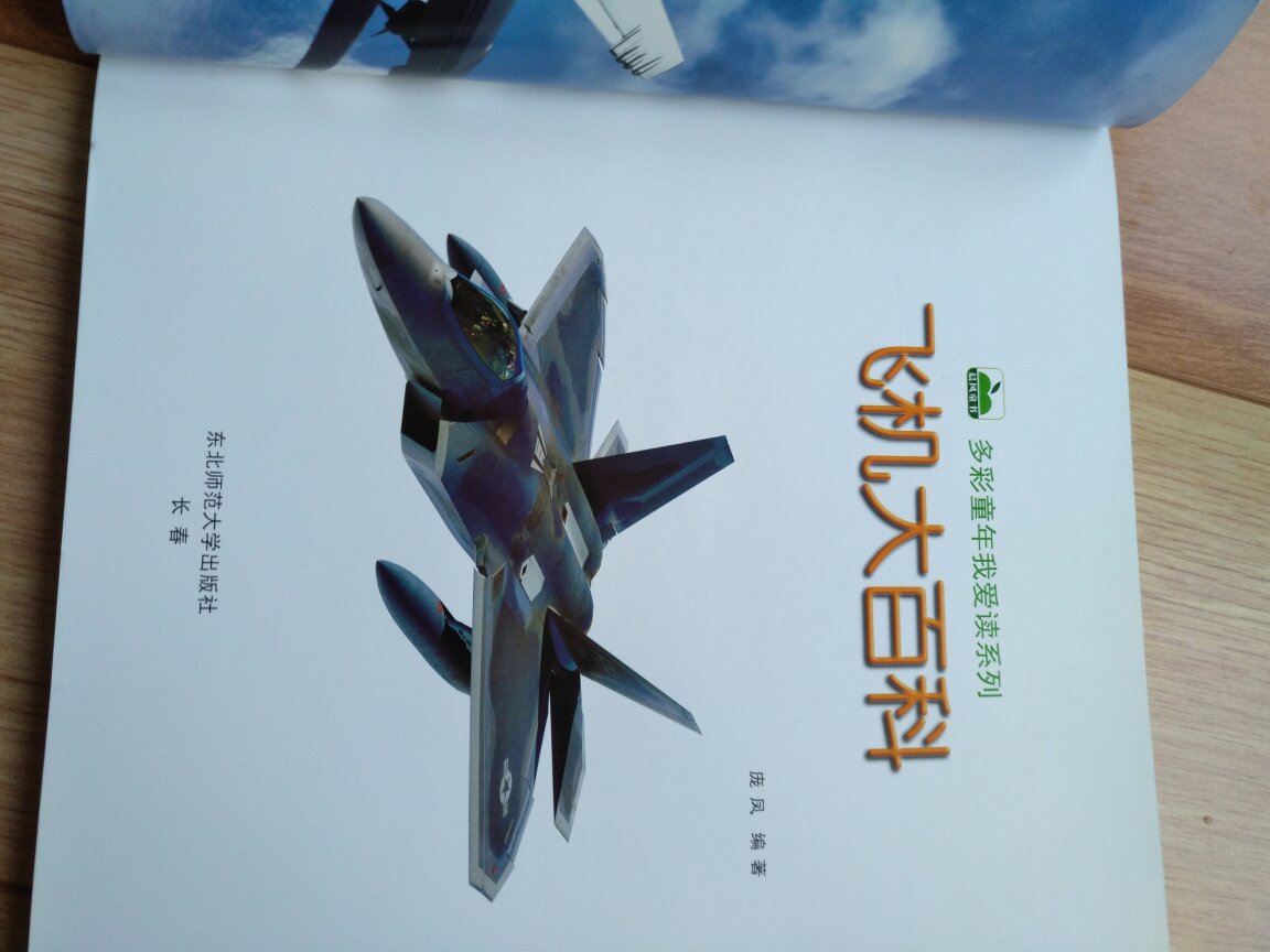 这书还可以。就是介绍各种飞机的。不是塑封的。也不是硬皮书。