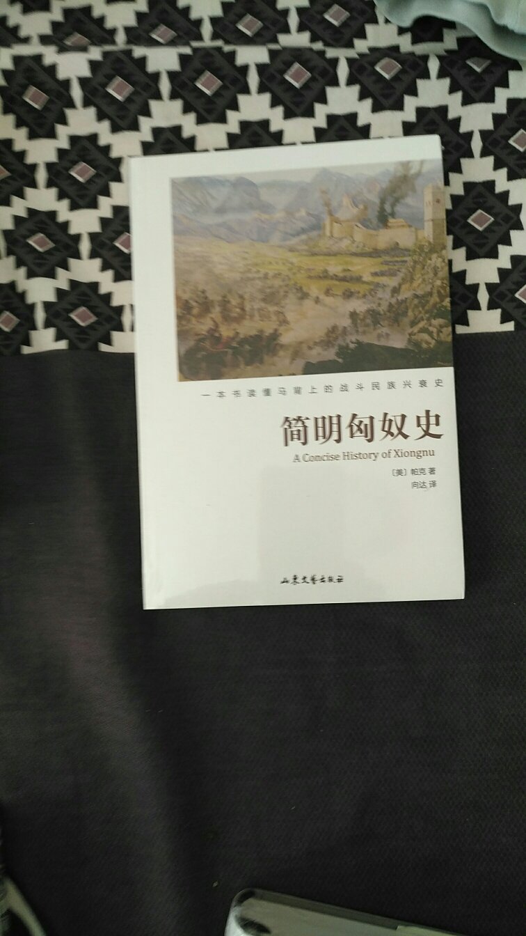 本书通过7个大章以时间线详述匈奴的起源、发展、没落、消失。全面涵盖了匈奴各时期军事、外交、政治、经济、文化……解惑：书中记述了很多人们想了解又难以找到答案的匈奴民族的神秘历史。