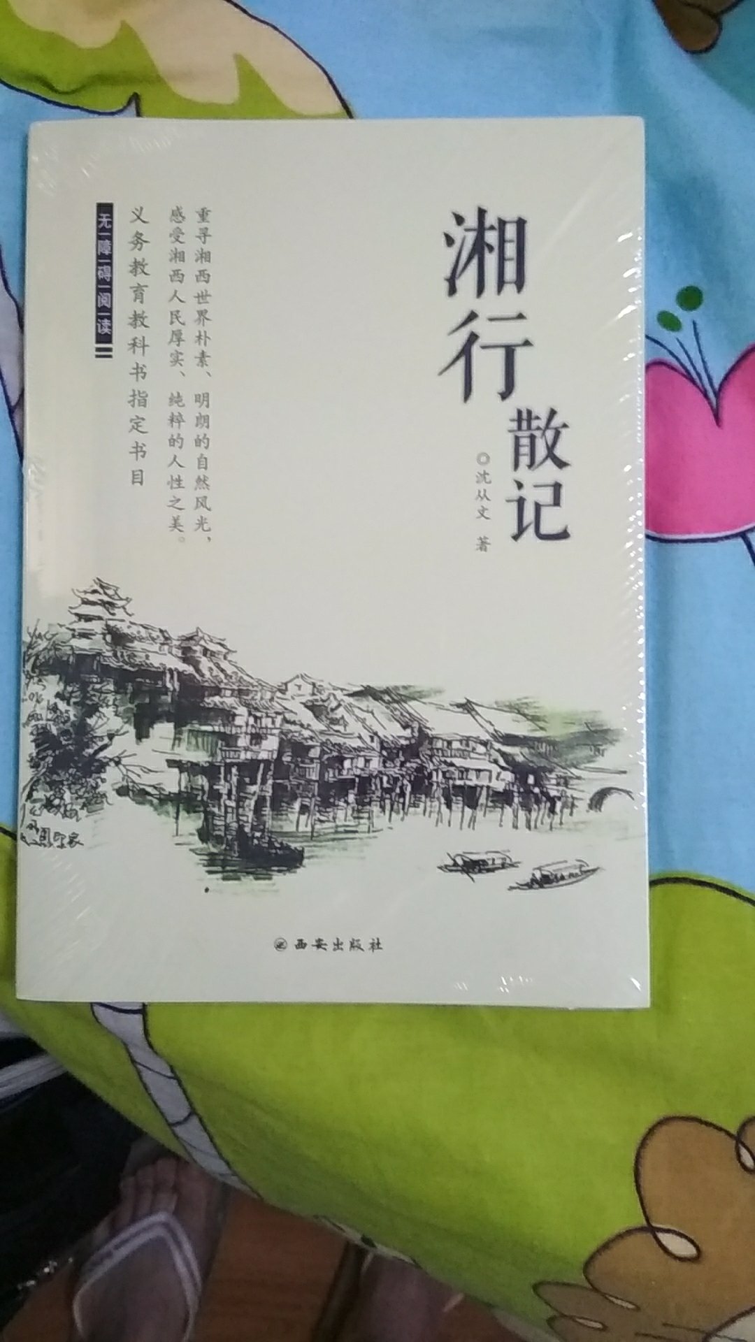 书包装得很好，页码清晰，内页字体也整齐，没有破损，一看就是正品书籍，买来给初一的小学生阅读的，在买书就是好，价格便宜配送也快，头天下单第二天就送到，一定要点赞，以后还会继续在买书的，好评！！