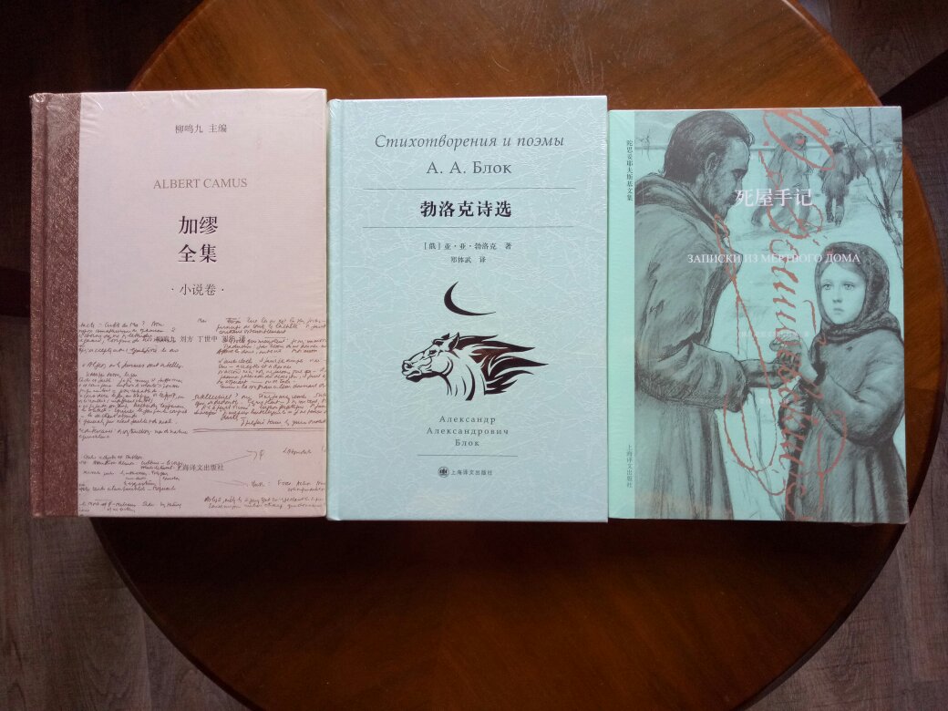 豆友说打六颗星   没看  但首先非常喜欢勃洛克  其次封面装帧实在太漂亮了！