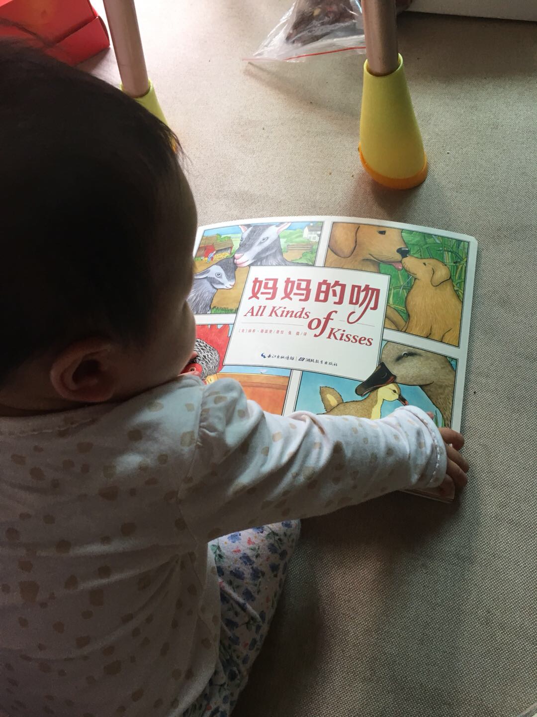 给几个月的宝宝读这本书，模仿各种动物的声音，宝宝呵呵笑，好温馨的一本书