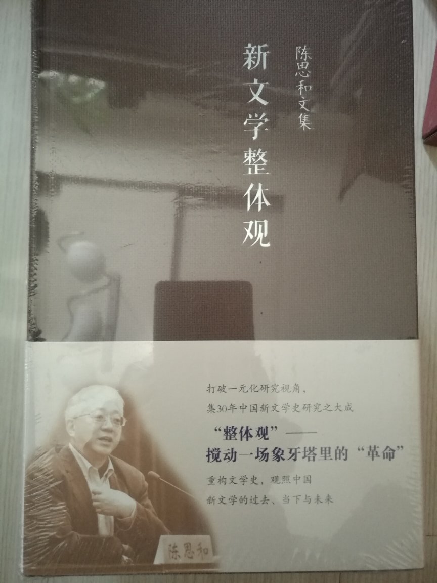 当代中国新文学的整体审视。