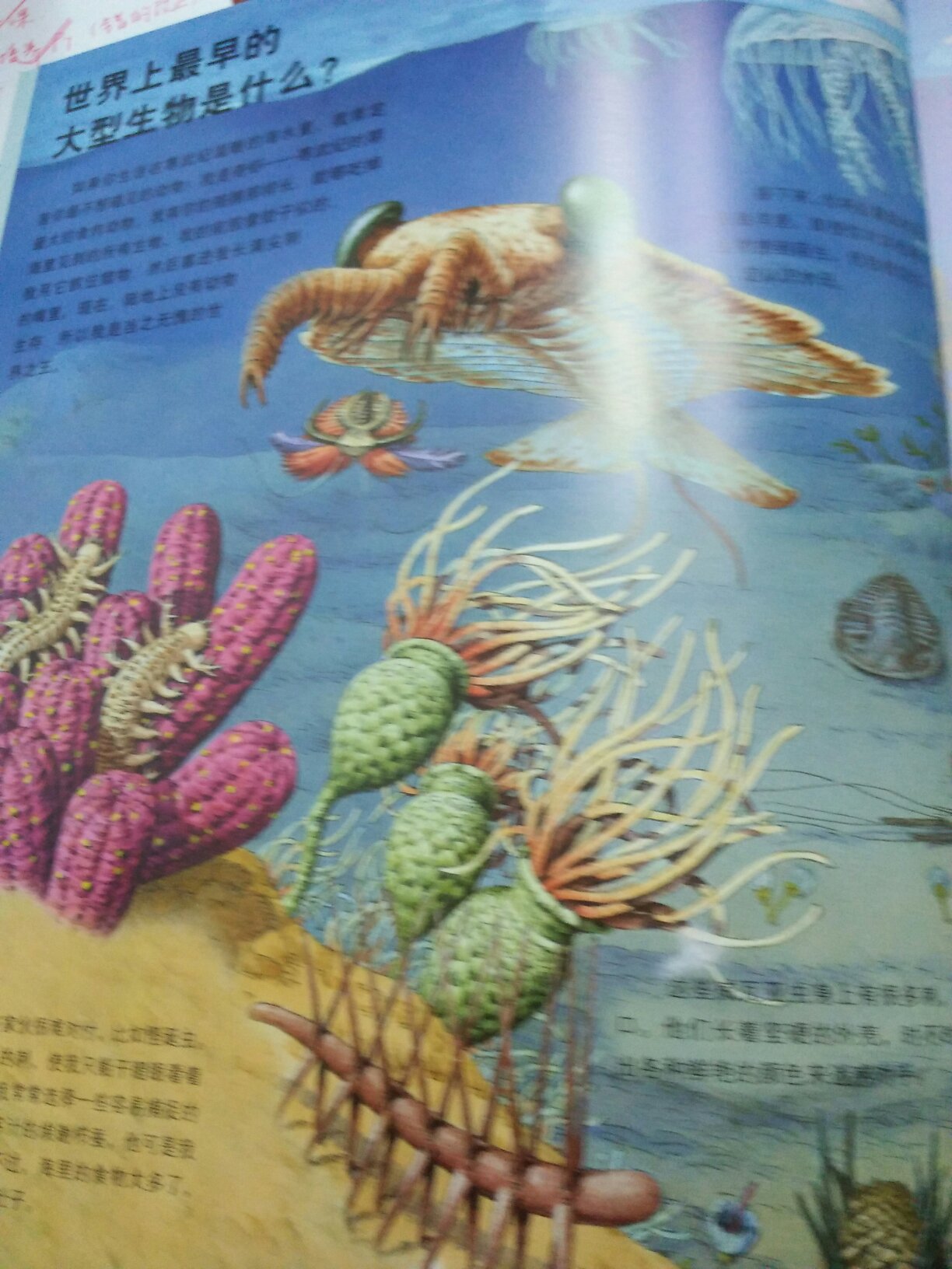 东西相当不错，没有怪味道。物超所值