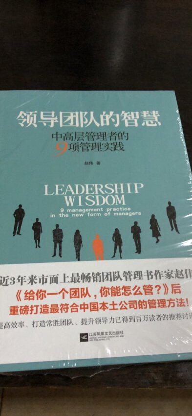 领导团队的智慧：中高层管理者的9项管理实践