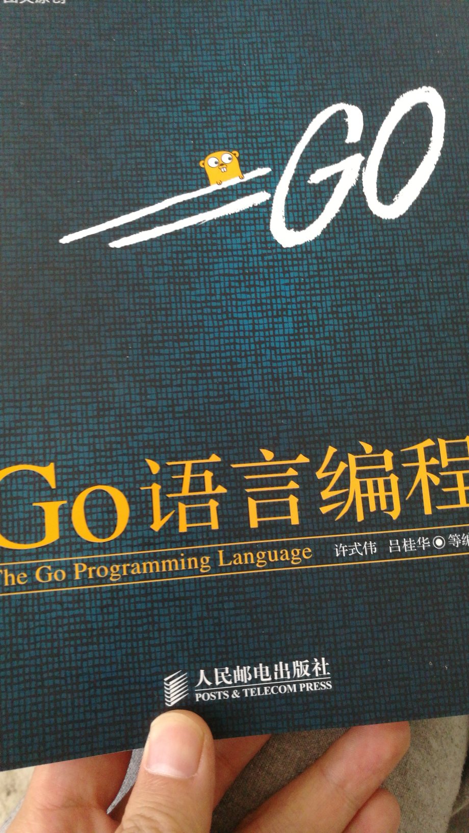 go入门类书籍，主要是语法，基本功能，了解go的基本语法必选