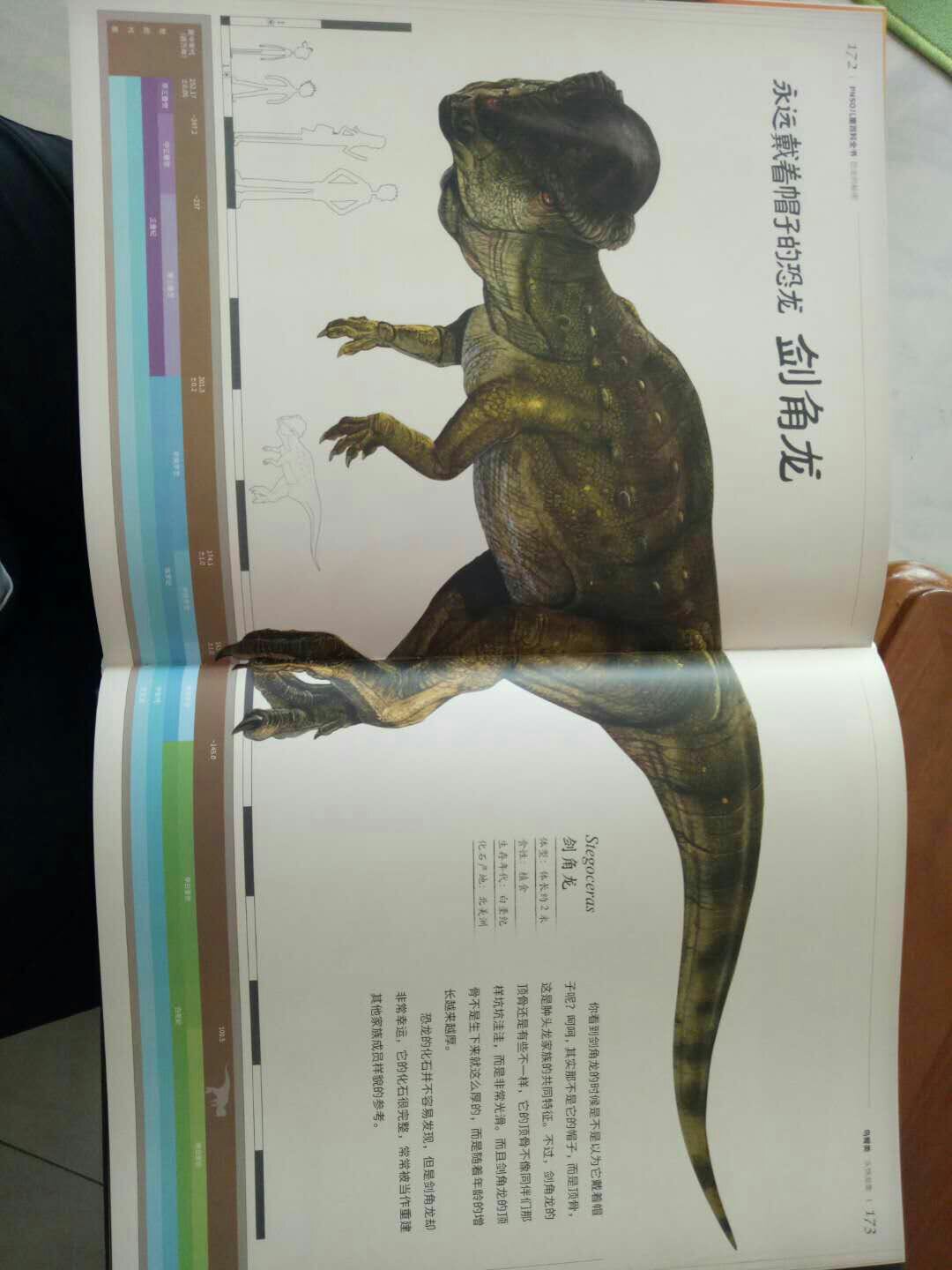 特别详细的恐龙介绍，直观，又详细，我啦孩子喜欢恐龙很多恐龙书籍，这本特别喜欢。介绍得又直接明了
