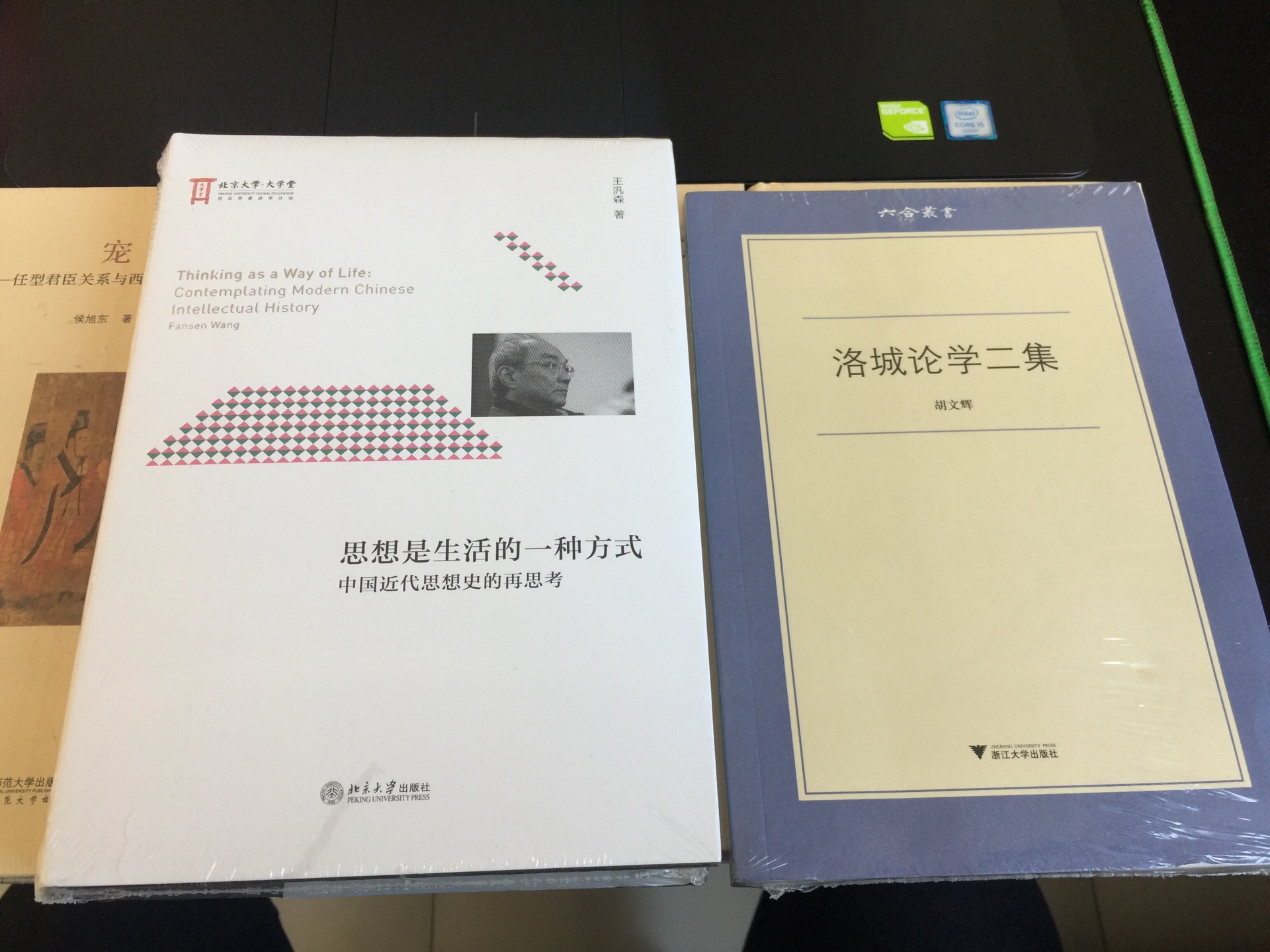 胡文辉先生的最新学术文集，好几篇文章都很新颖，也能自圆其说，值得购藏，有学问有思想，慧眼独具的视角，学术含量很高