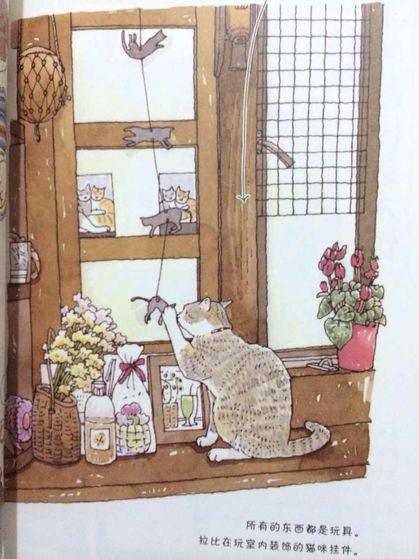 一本关于猫的很有爱的书，画风细腻，特别是那些室内的图
