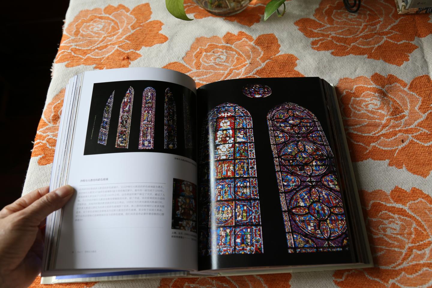 做为了解法国和德国的大教堂是一本不错的书，文字简练明了，16开的书展示图片有一定局限，但是也能满足阅读的需要，谢谢送货小哥的优质服务。