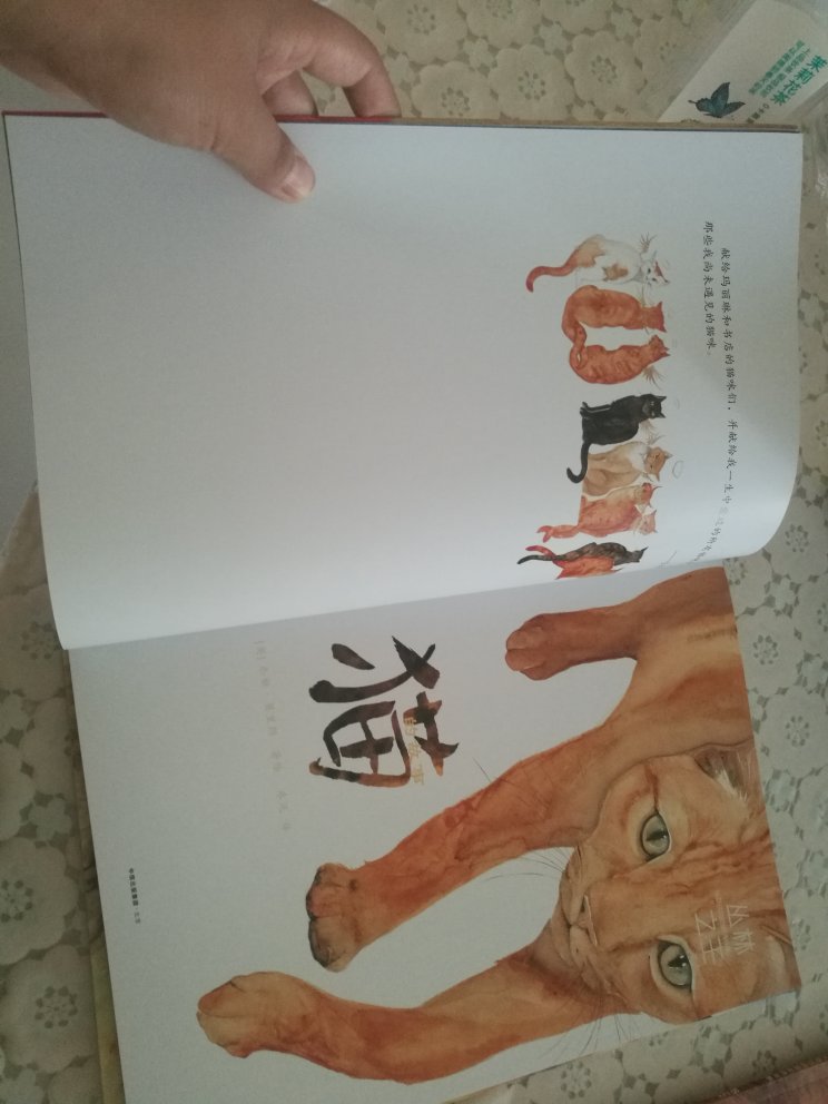 四本书，很大，图片也很逼真，总之还是推荐的，孩子们都喜欢动物