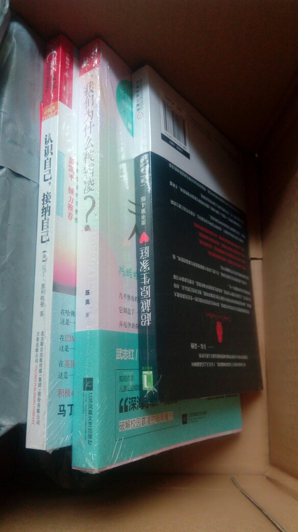 到货非常快，物流一如既往的很赞。书质量很好，已经开始看了，翻译的书，读起来还是觉得有点别扭，还是希望找到中文作家写的。满意