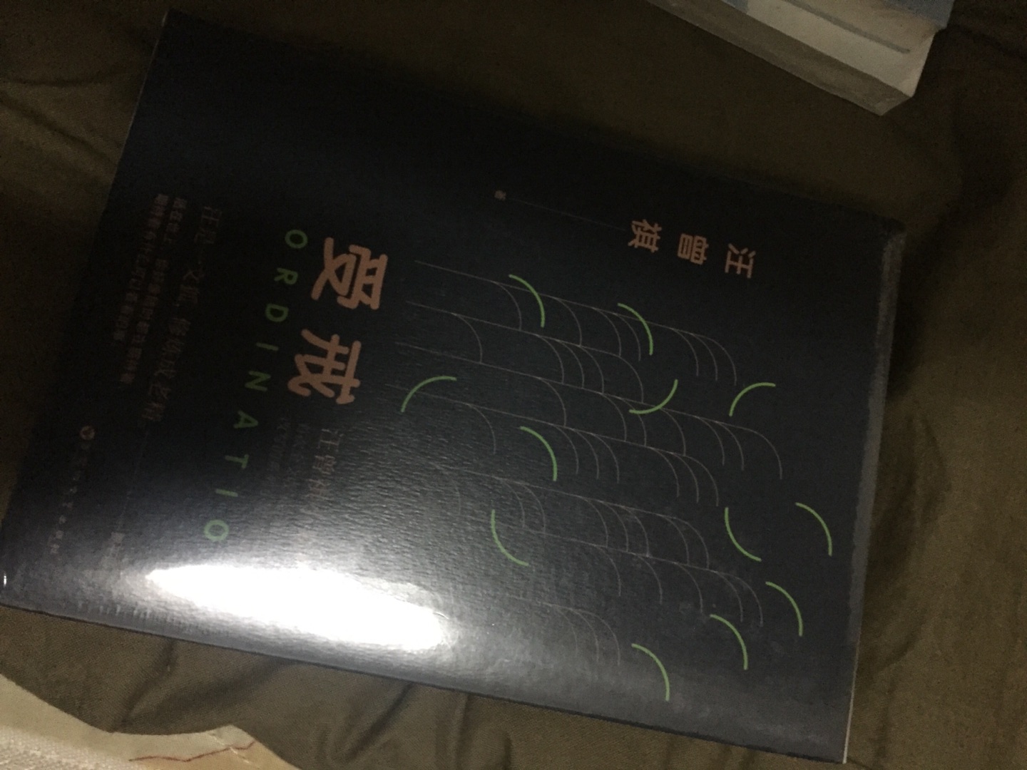 我为什么喜欢在买东西，因为今天买明天就可以送到。我为什么每个商品的评价都一样，因为在买的东西太多太多了，导致积累了很多未评价的订单，所以我统一用段话作为评价内容。购物这么久，有买到很好的产品。