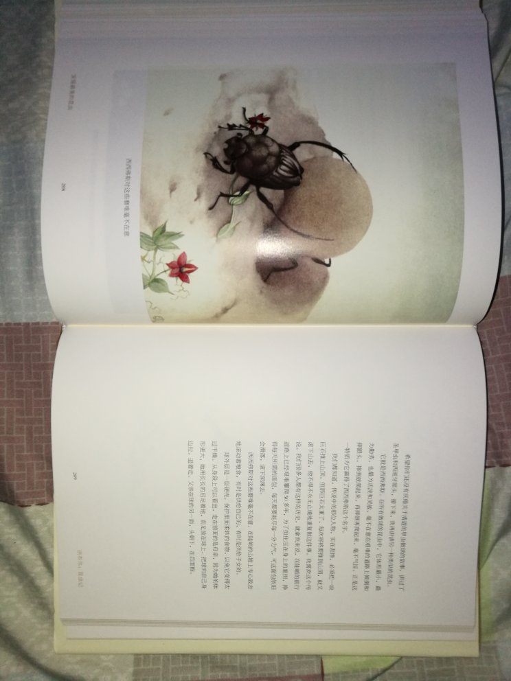 相当精美的一本书，图文详实，作为昆虫控简直一本满足。实在是让我爱不释手。又，我觉得应该把那本鸟类学姊妹篇一起买下来的。