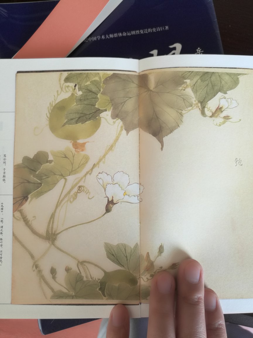 很精致，很有特点的一本书。日本人做事还是很细致的。