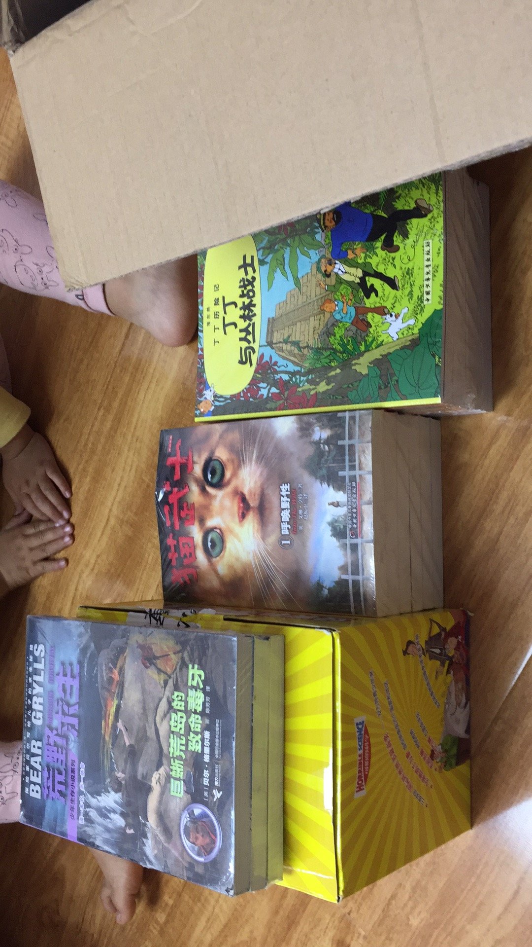 给孩子买的这些书，孩子很高兴。