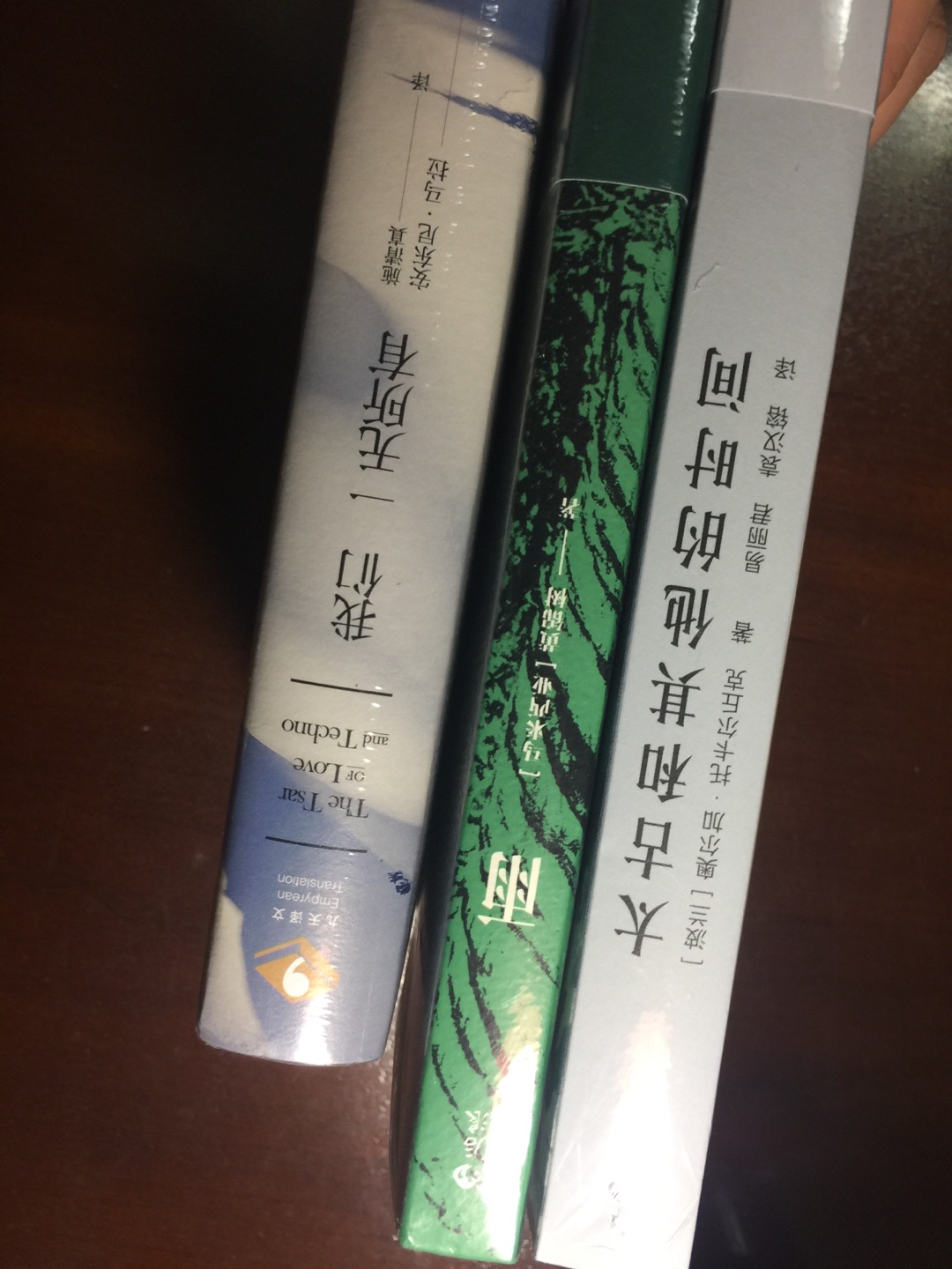 有认识的人说“华语文学”和“中国文学”不是一个含义，这本书恰可以体现这种微妙的差别。中国少有的热带气候，下个不停的雨，奇妙的家族…有种东南亚的气质，又让我回想起拉美