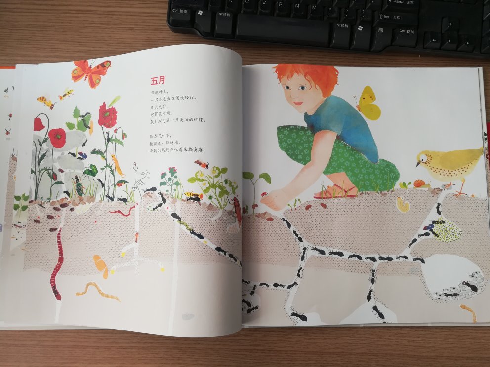 大开本，封面，插图特别漂亮，讲述了孩子对大自然的了解和探索。