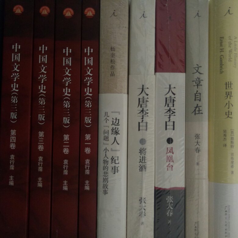 这是我看到的最好的中国文学史教材。