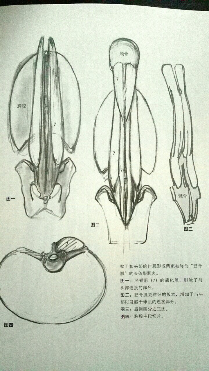 书中以图片居多，要学的话还是要基础知识牢靠，不过书里内容还是很实用的。