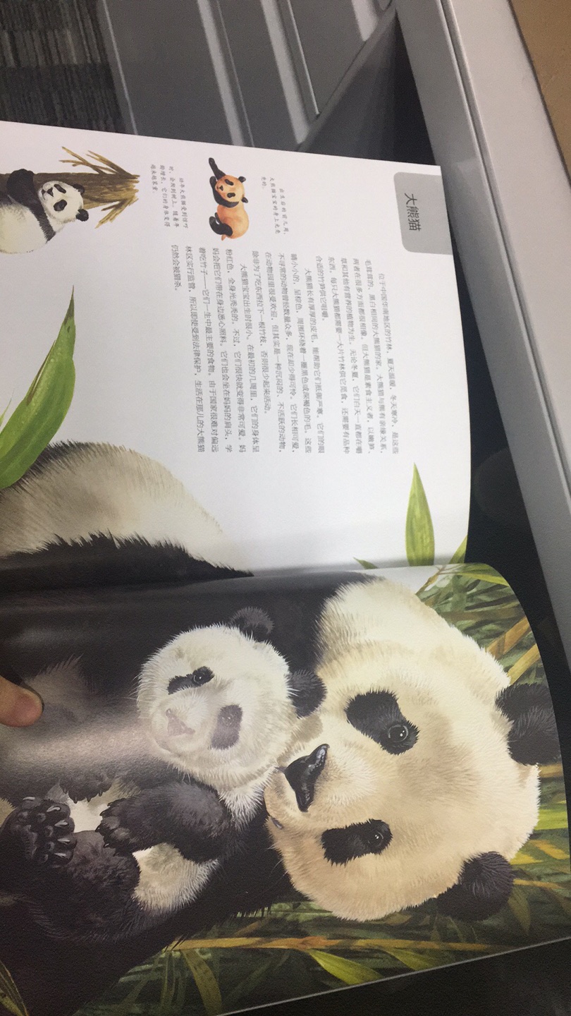 3月带娃去看熊猫，乘着活动便宜赶紧入。画风很写实，很多小动物可以让小朋友见识下，很不错