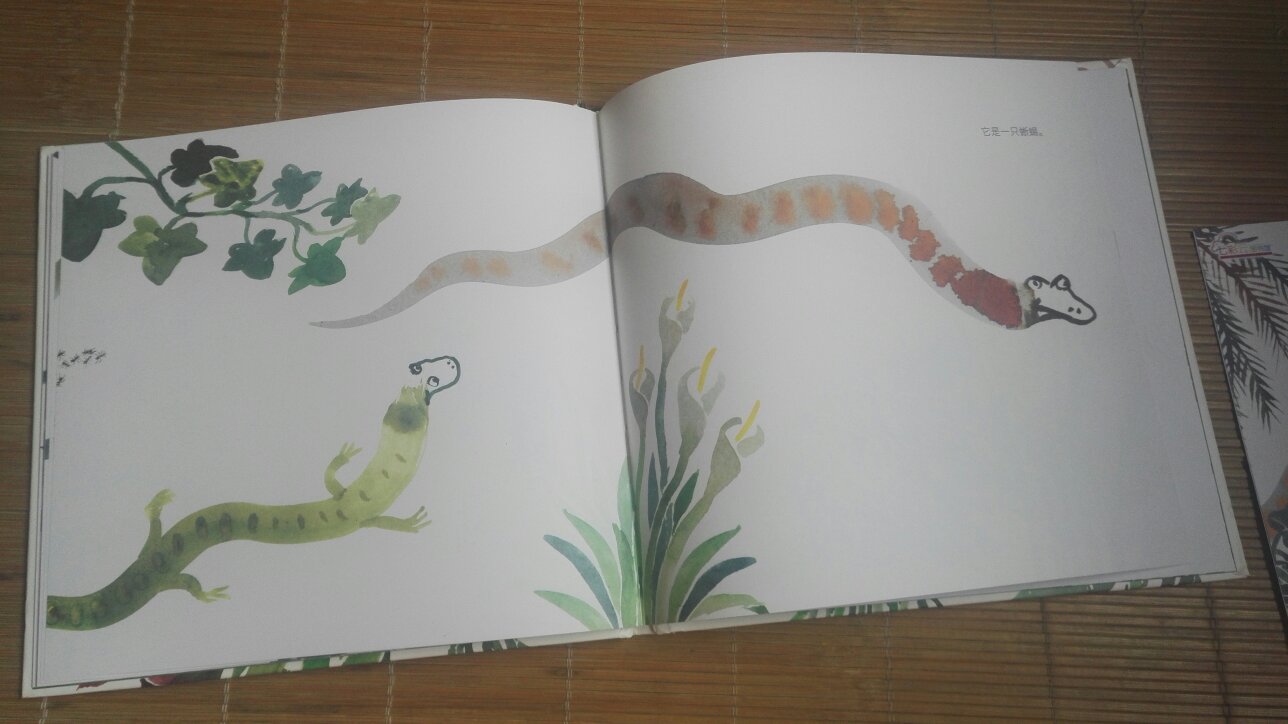 这本书比较厚于想象力，蛇长长的，到底是一段绳子呢，还是一个鞋带呢？还是一个，其他的东西呢？一本比较有趣的绘本，适合三岁左右的小孩