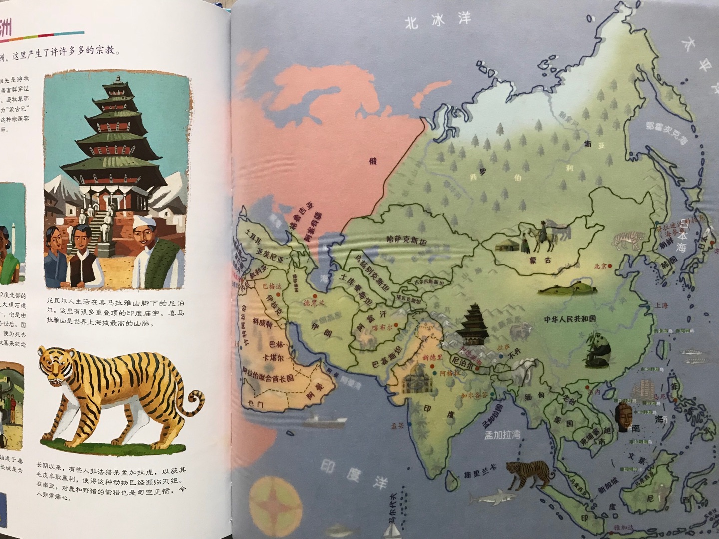 基于地图的百科，有动物、恐龙、旅行、宇宙四个主题，知识比较简单适合低龄孩子当作绘本读