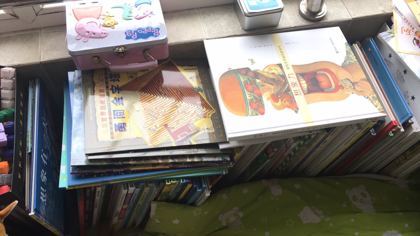 孩子要求买的，买了一大单全是迷宫的书，各种各样，平面立体的都有，暑假有的玩了