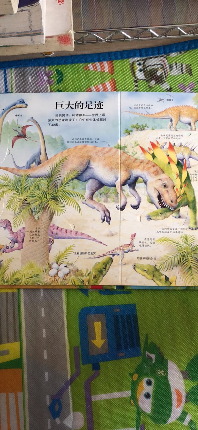 孩子喜欢恐龙，家里买了很多恐龙书。乐乐趣的解密系列，口碑一直很好，以前都是成套收的，这次入了单本。内容丰富。画面精美。