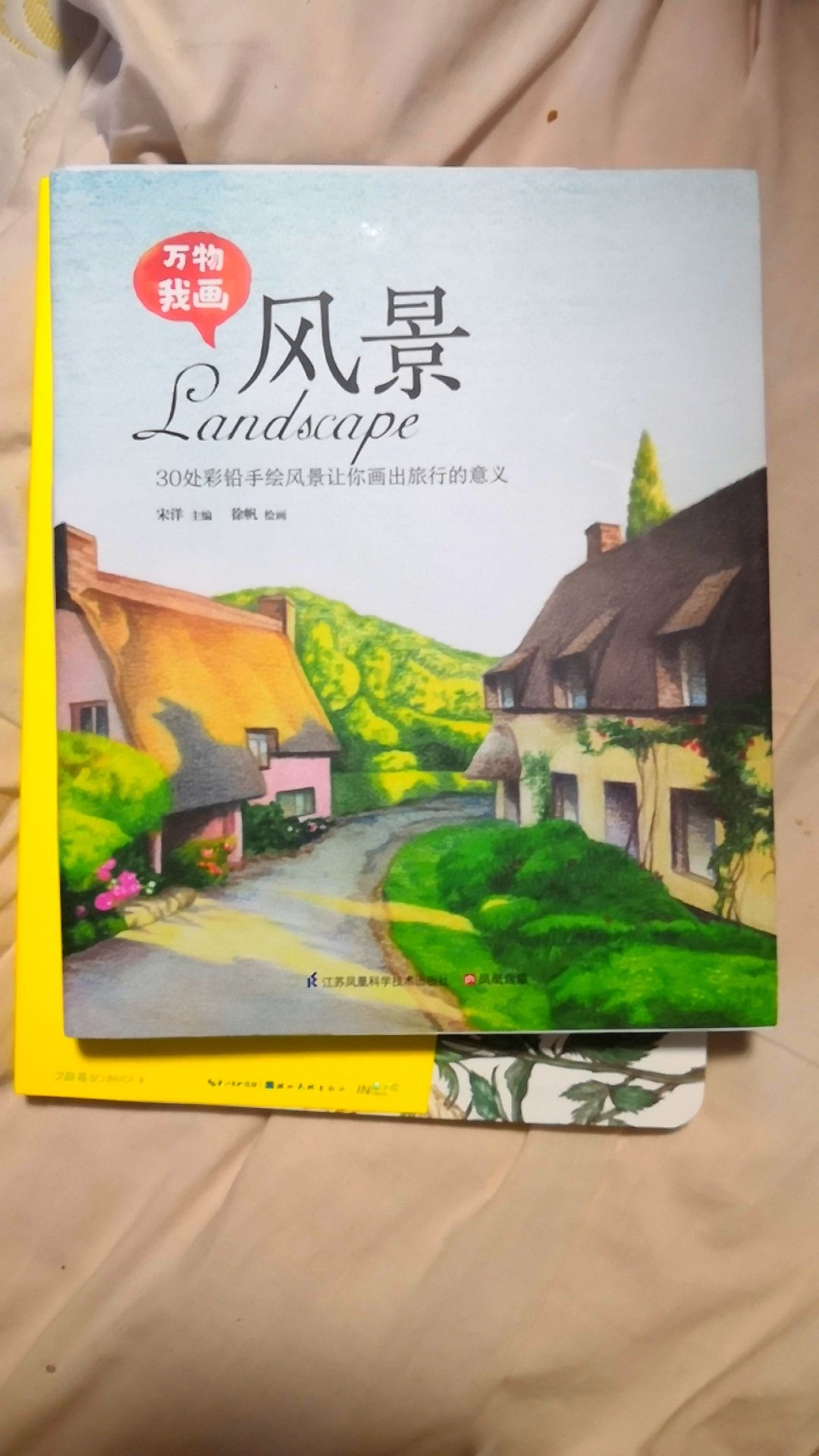 很美的书，给学画画的娃买的，正版，颜色很漂亮，送货很快