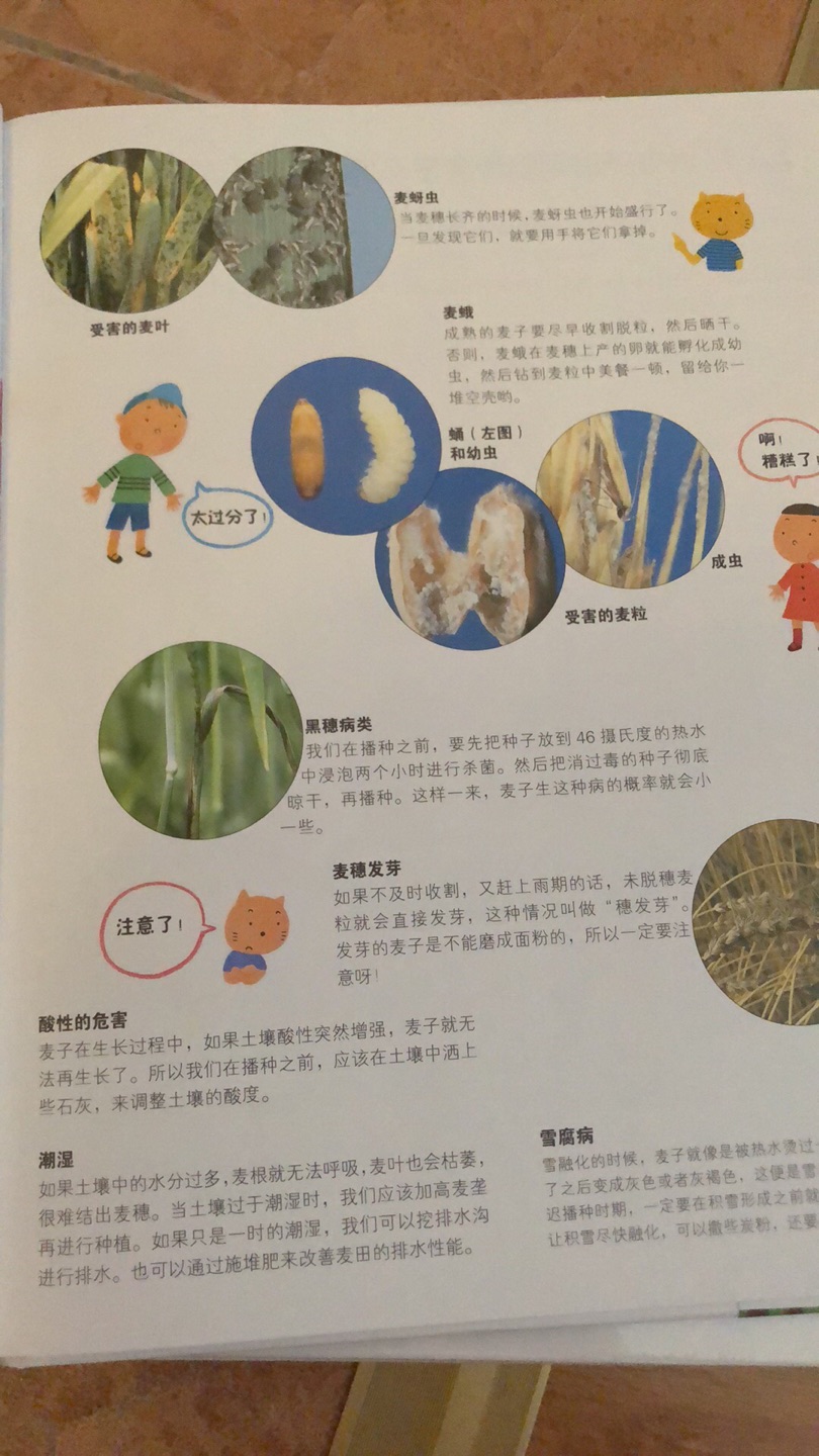 中国农业出版社引进的，分类很细，内容详尽，非常推荐。就是定价偏高，活动入比较划算。