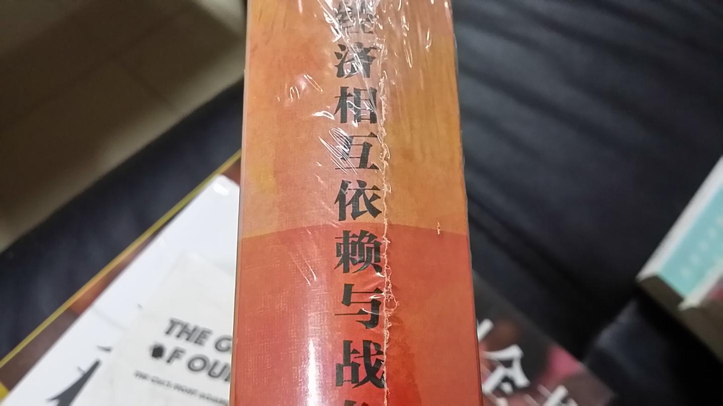 这是一本解析经济与政治斗争关联的著作，有一定思想深度。