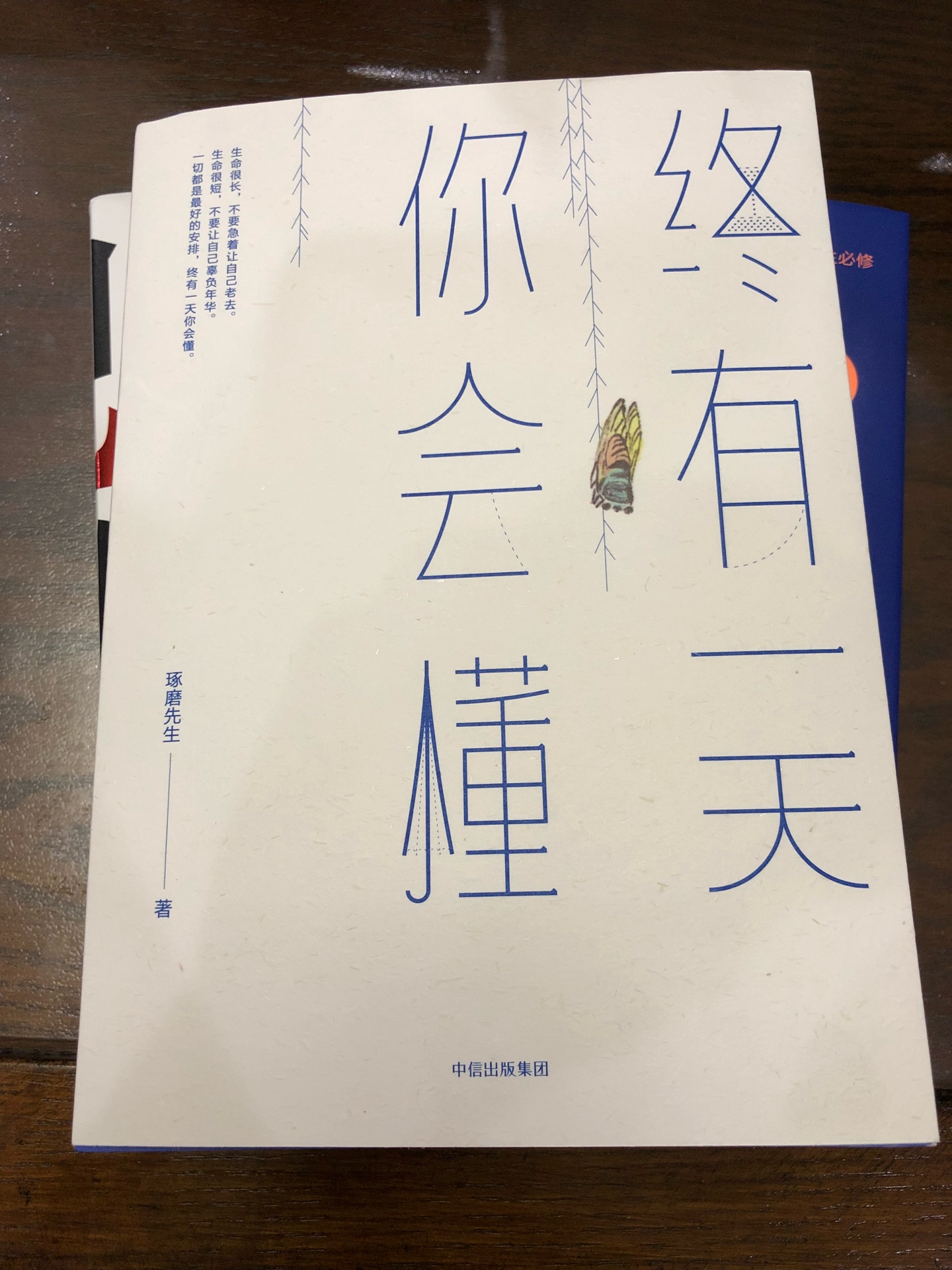 也不知道是什么内容，知道是琢磨先生的新书便毫不犹豫的买了。