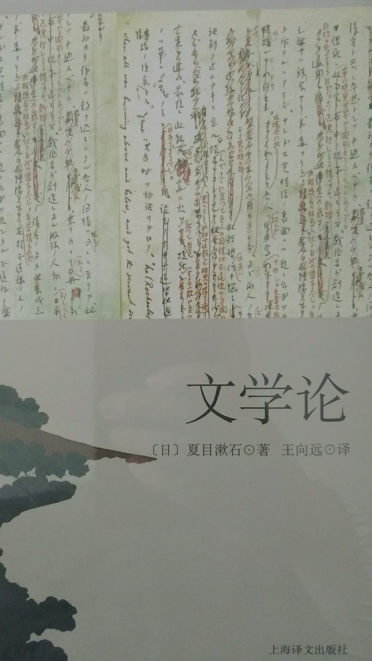 说老实话，我一直觉得日本人的文学观非常奇特。所以先从夏目漱石开始学习学习吧。